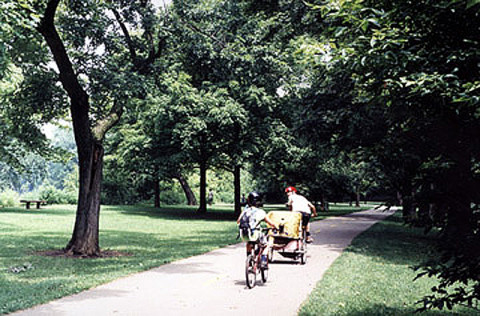 Children on bikes in a park