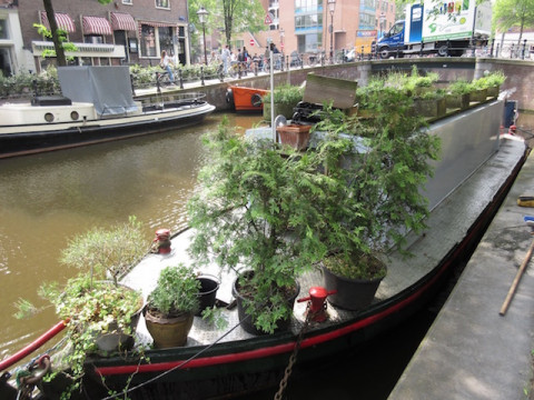 AmsterdamHouseboat2