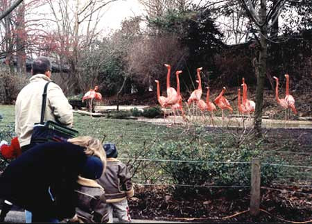 Parent interactions with children are an important reason families visit zoos.